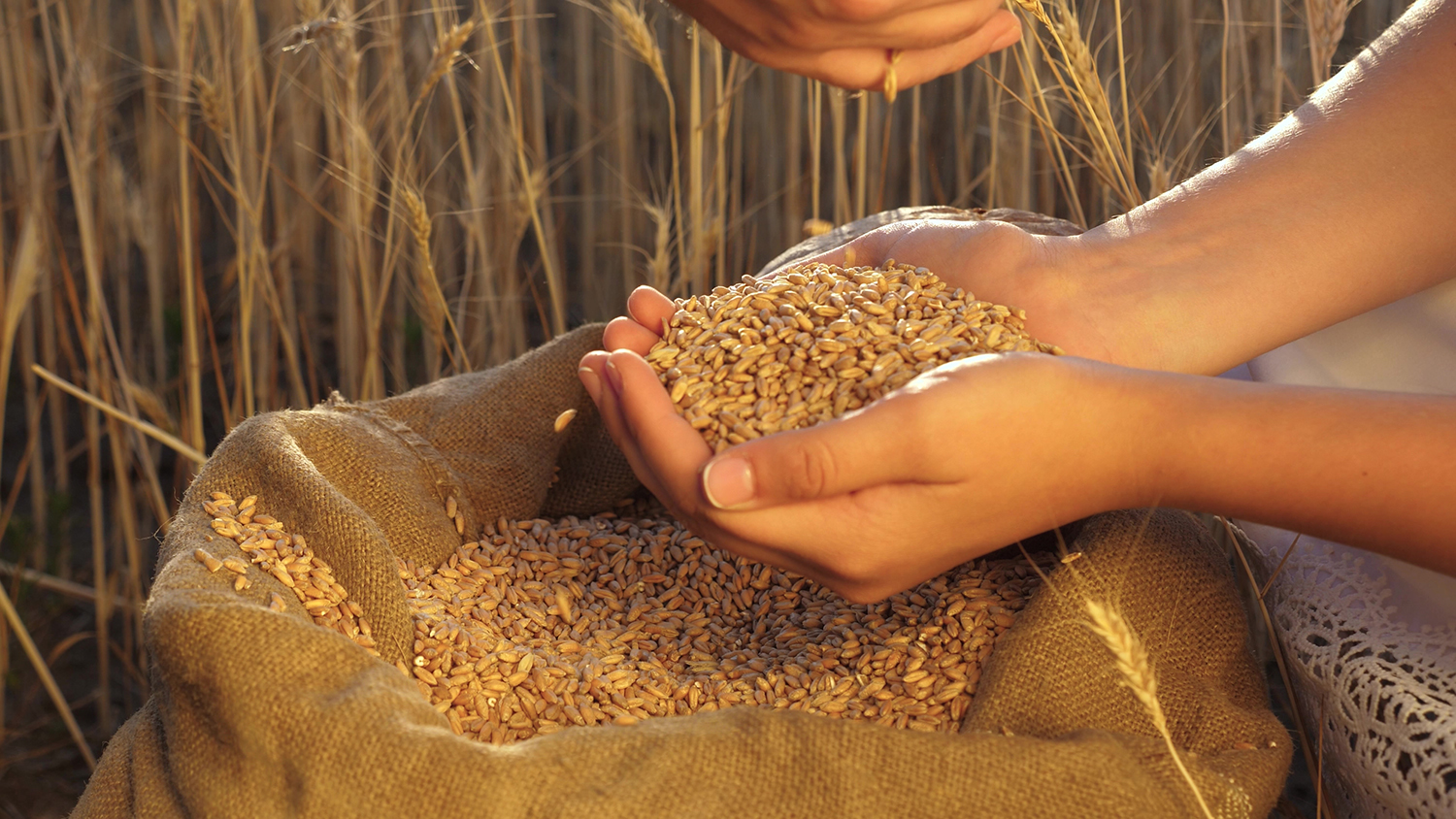 Agricultural Products