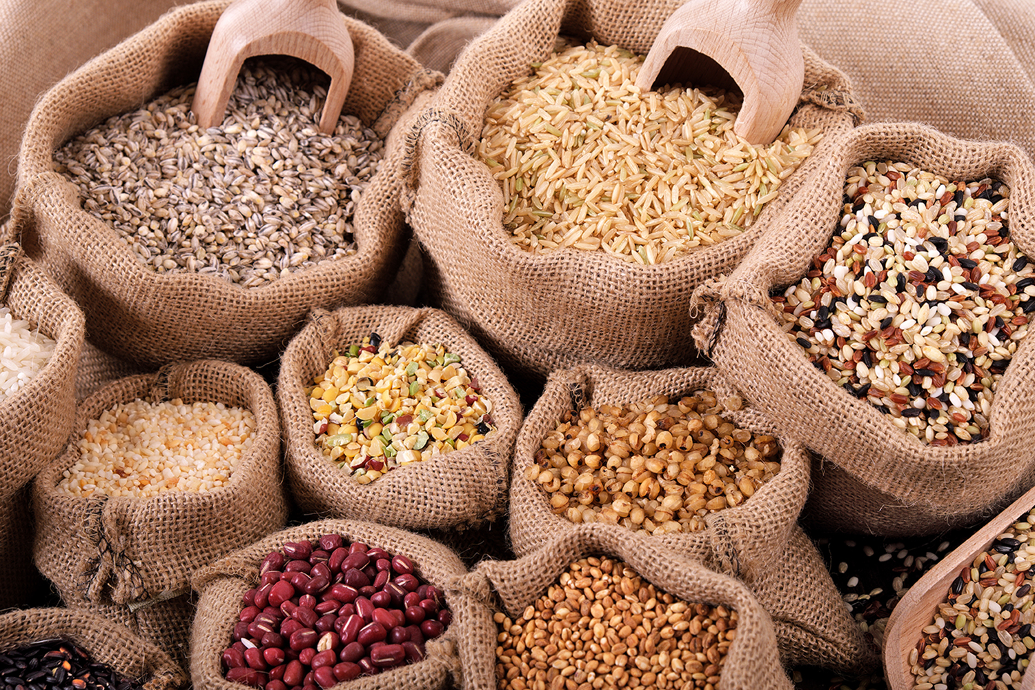 Pulses and grains export products