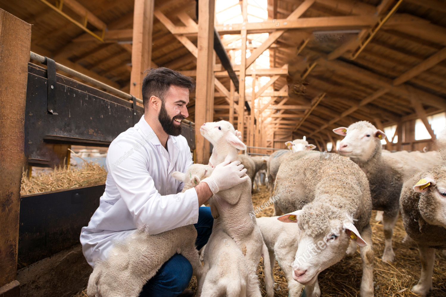 Fowl and Livestock Products
