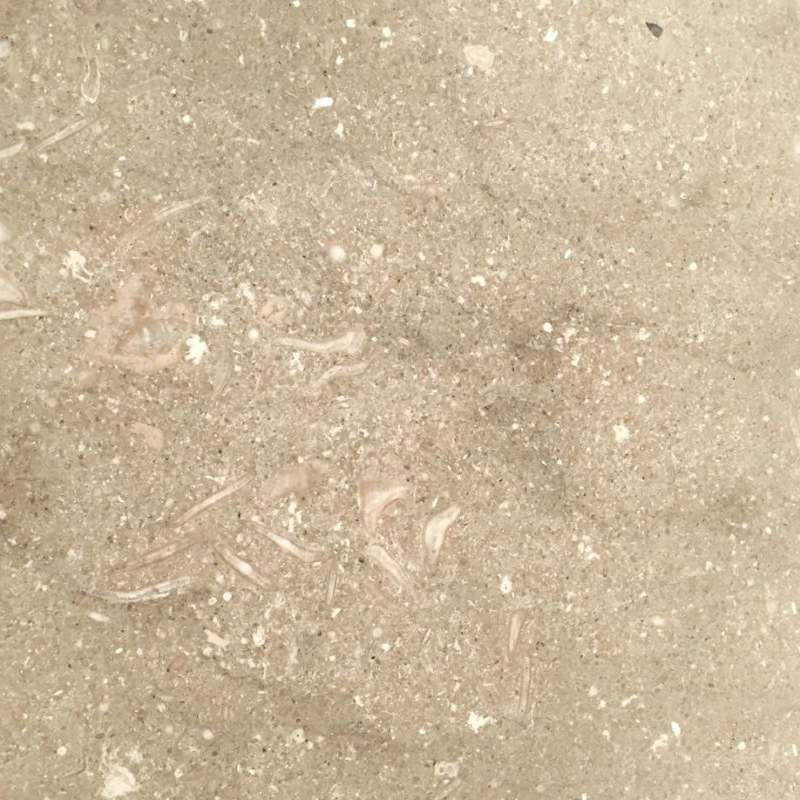 Fossil Beige